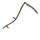 Scythe
