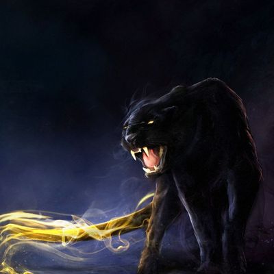 Pas touche header image