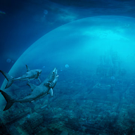 Города-государства омаридов