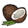 Coconut