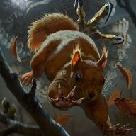 Squirrel