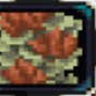 Cliff Lichen (+1 DEX)