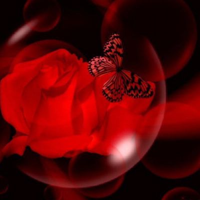 Victoria Ash header image