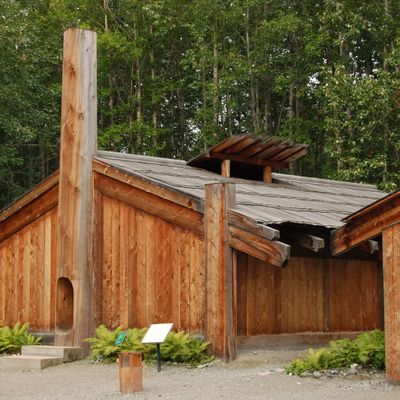 Piwane Woodbears header image