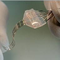 Cybernetic Language Enhancement - Jawa