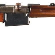 Mondragon M1893
