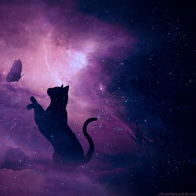 Mur du Souvenir header image