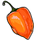 Habanero Pepper
