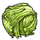 Iceberg Lettuce