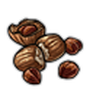 Hazelnuts