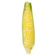 Maize