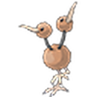 Doduo