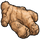 Ginger Root