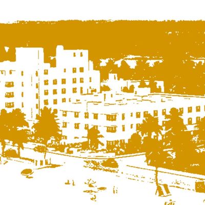 North Shore header image