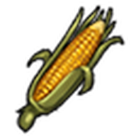 Corn