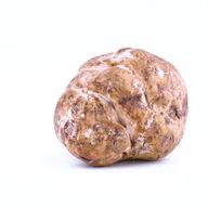 White Truffle