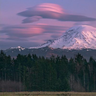 Kimia Longues- Nattes header image