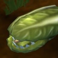 chou mordeur de Chine