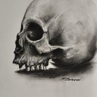 Charcoal Skull