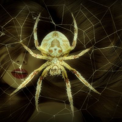 Ananasi header image