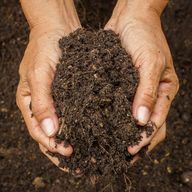Soil