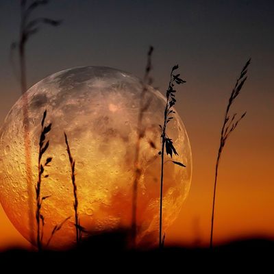 Journal de bord de Freya Lockhart - 13 - Le lion et le moucheron header image