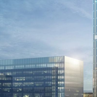 Meute de la Tour d'Ivoire header image