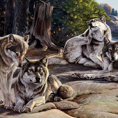 Odeur Fraternelle header image