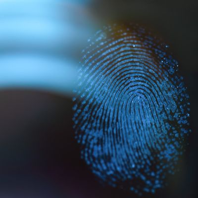 Wallace Winston Jr header image