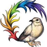 Shelyn, die ewige Rose