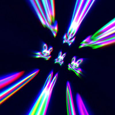 Carlo "Psycho Bunny" header image