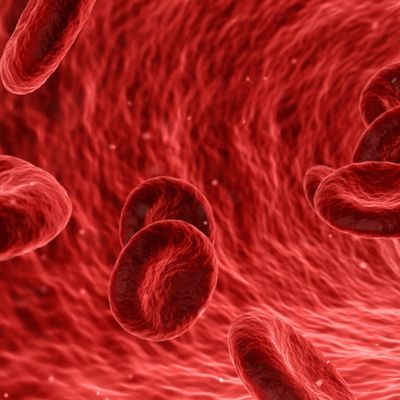 Judith Jones header image