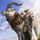 Giant Goat