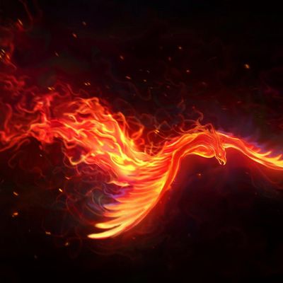 Carolina Reaper header image