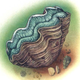 Giant Clam