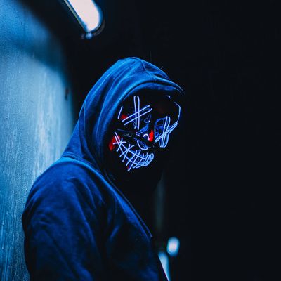 Armandor header image