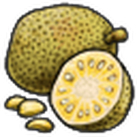 Jackfruit