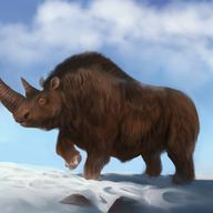 Giant Wooly Rhino