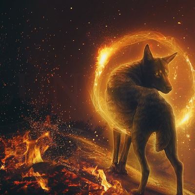 Maître du feu header image