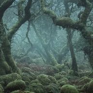 16: Rückkehr in den Witschwod