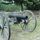 12-Pounder Cannon