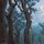 Neverwinter Woods