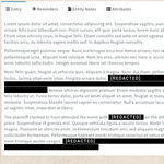 Various lengths of redacted text