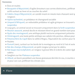 External link icons