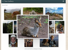 Responsive Image Gallery
