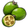 Feijoa