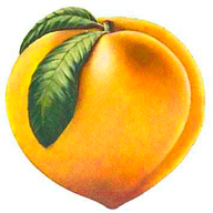 Peach of Strength