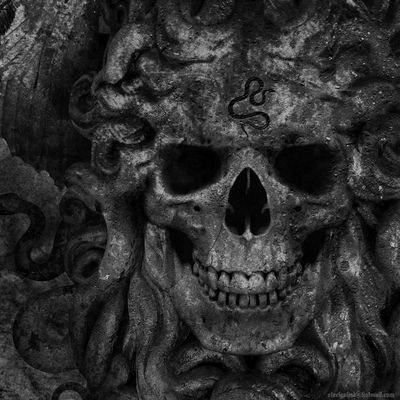 Black Dog Factory header image