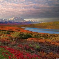 Подзольные степи