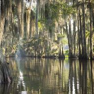 The Deep Swamp